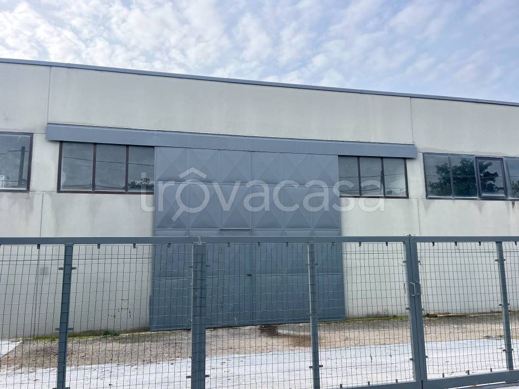 immagine annuncio 2 di 10