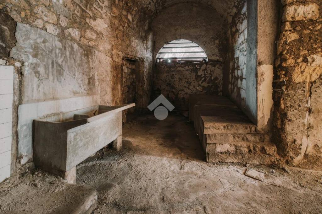 immagine annuncio 4 di 6