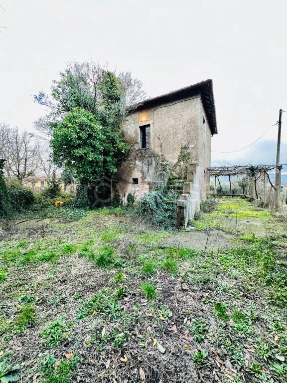 immagine annuncio 2 di 4