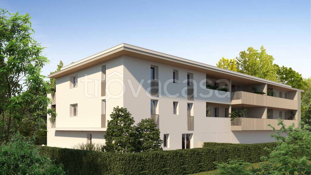 immagine annuncio 7 di 12