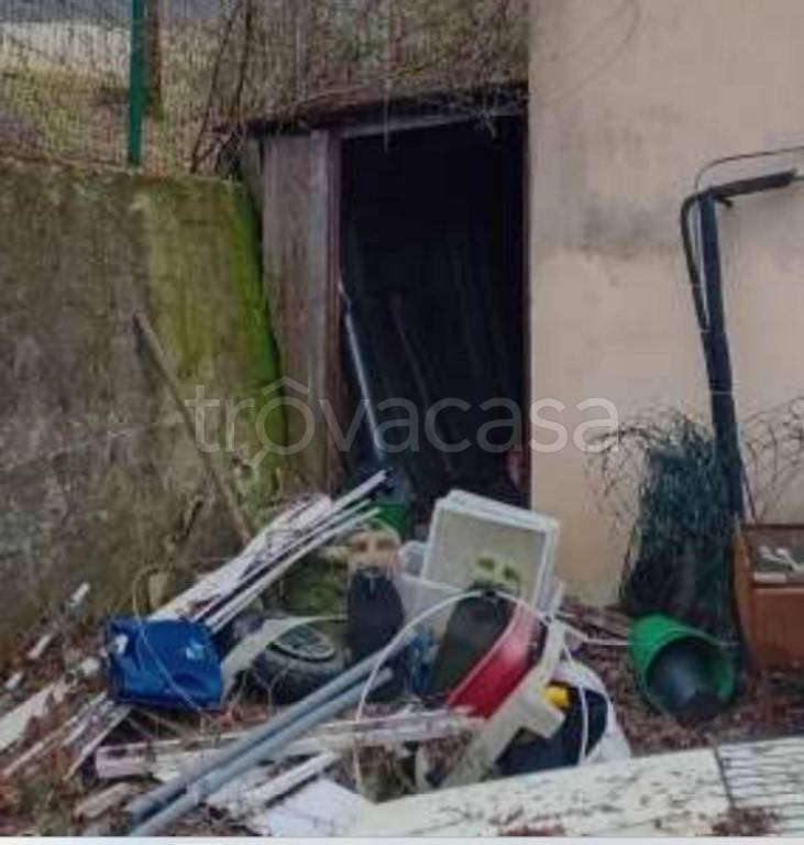 immagine annuncio 9 di 13