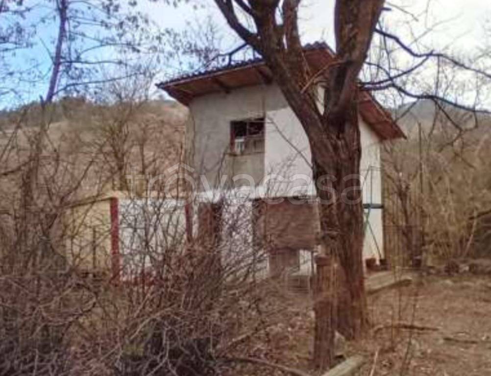 immagine annuncio 10 di 13