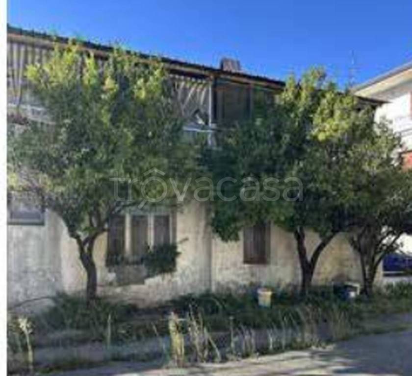 immagine annuncio 5 di 12