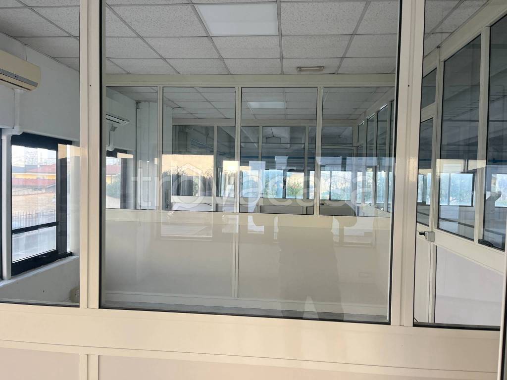 immagine annuncio 5 di 6