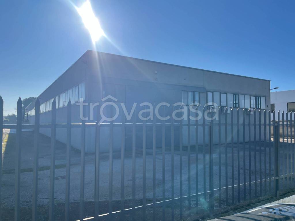 immagine annuncio 1 di 7