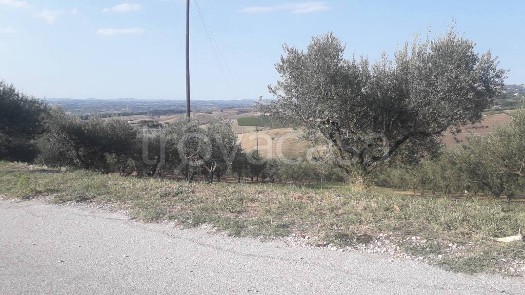 immagine annuncio 4 di 9