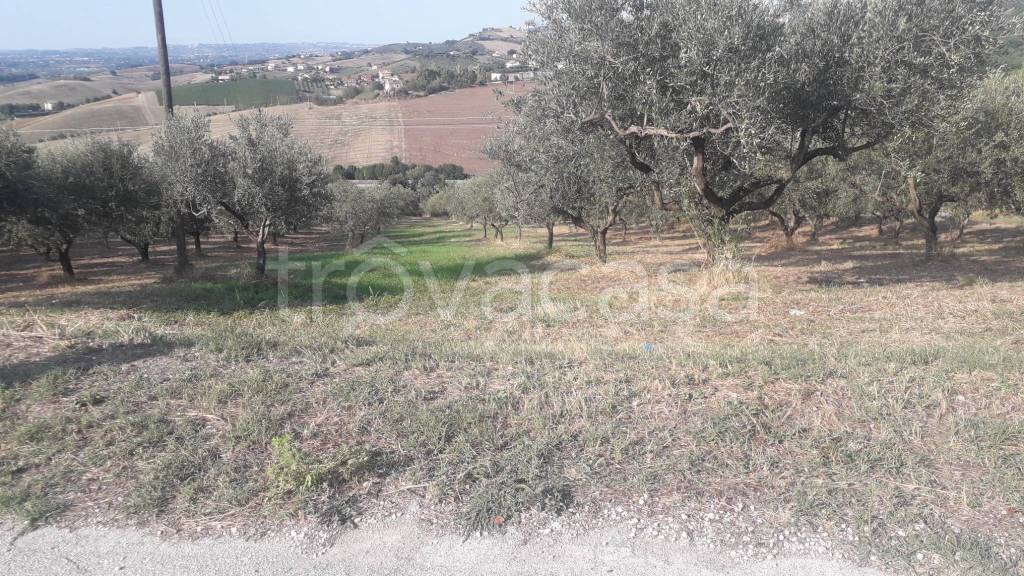 immagine annuncio 5 di 9