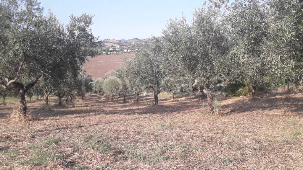 immagine annuncio 7 di 9