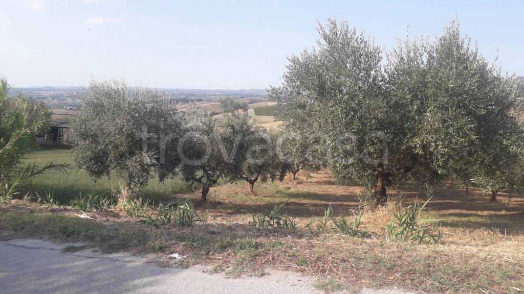 immagine annuncio 8 di 9