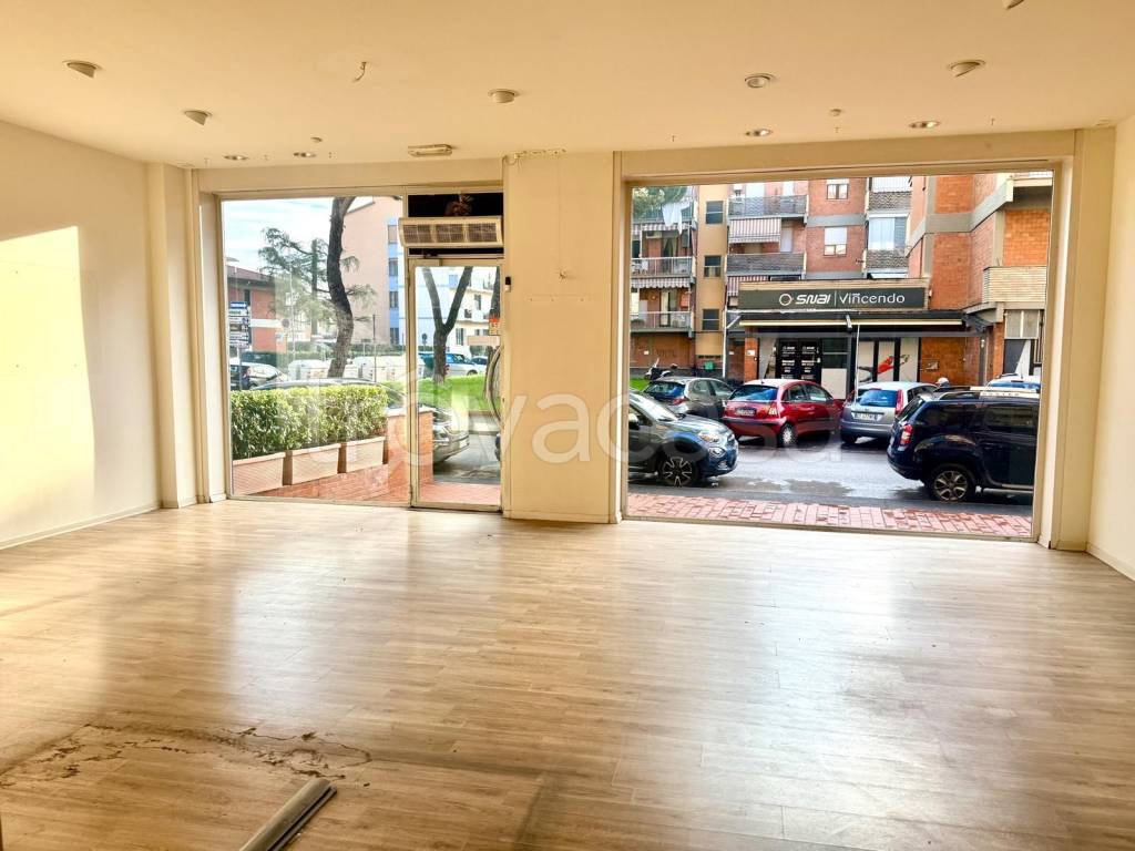 immagine annuncio 4 di 12