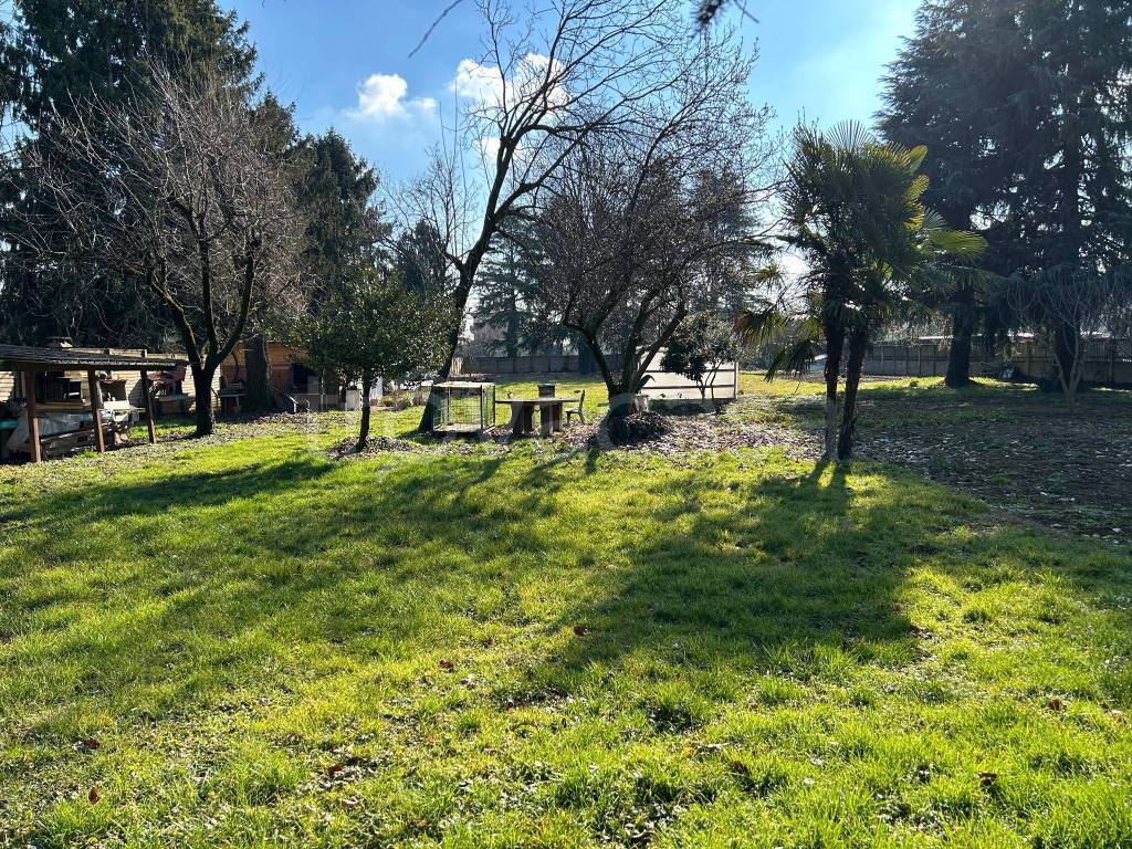 immagine annuncio 11 di 15