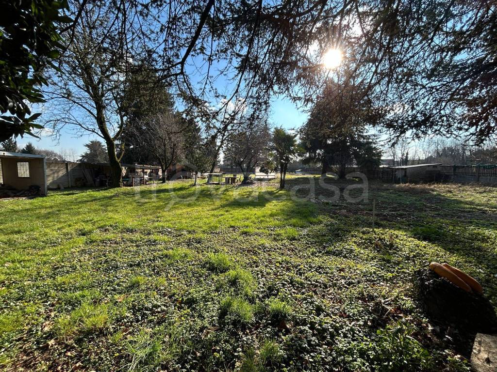 immagine annuncio 12 di 15