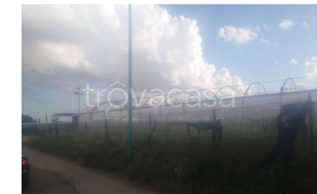 immagine annuncio 8 di 11