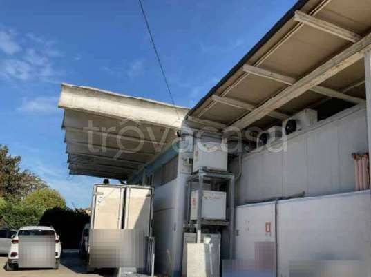 immagine annuncio 4 di 13