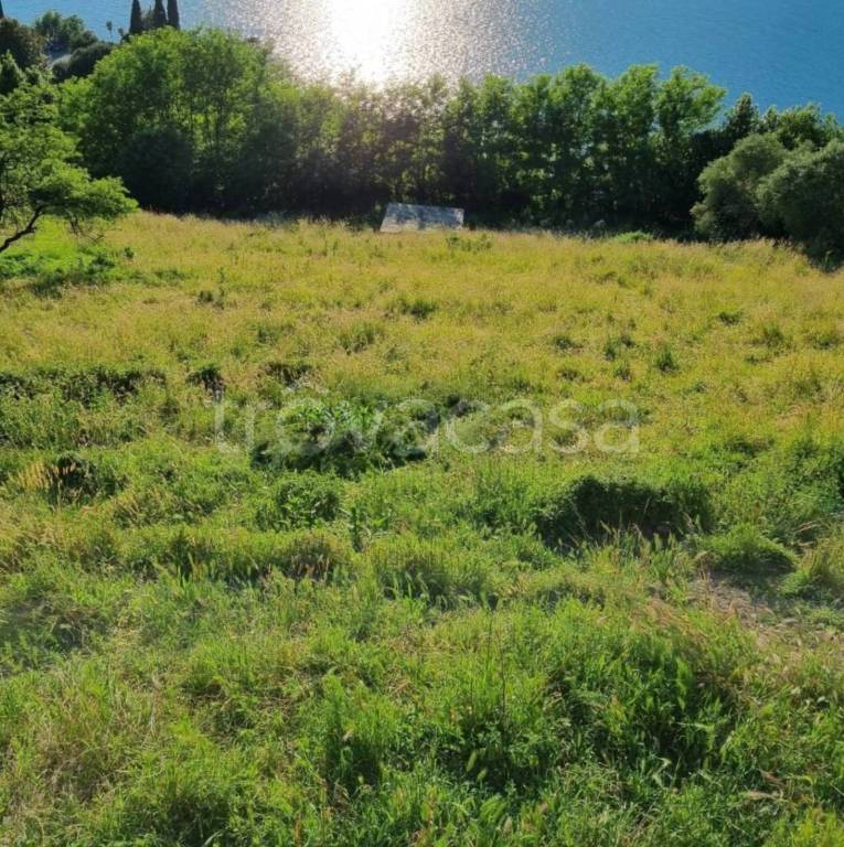 immagine annuncio 7 di 9