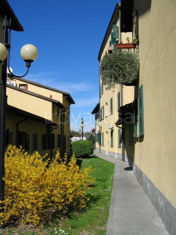 immagine annuncio 8 di 15