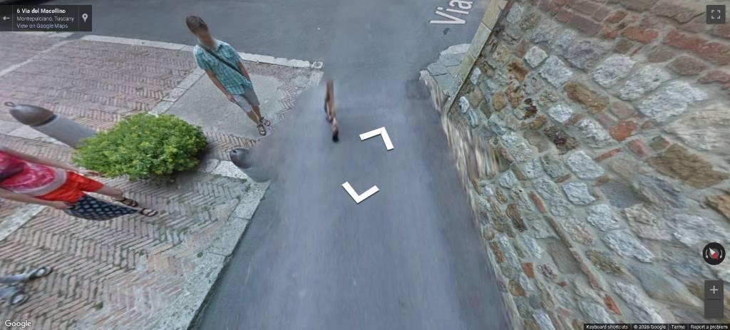 immagine annuncio 5 di 12