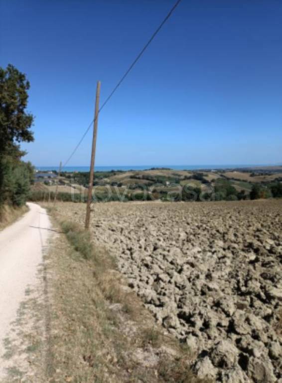 immagine annuncio 6 di 11