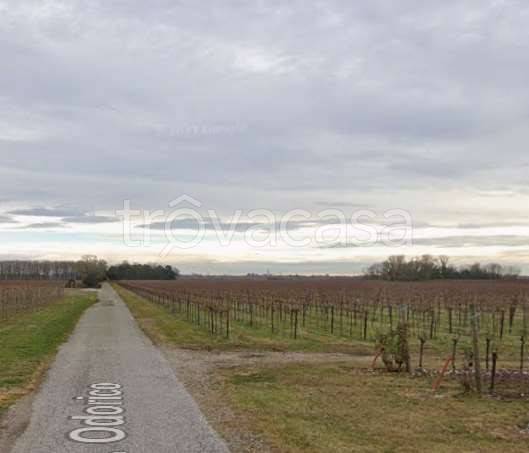 immagine annuncio 8 di 11