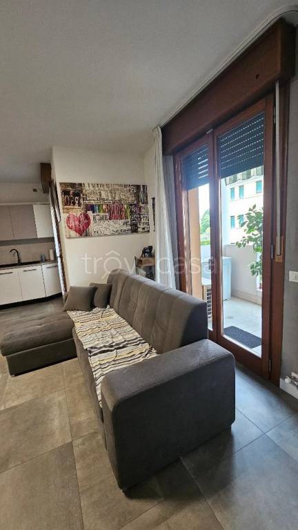 immagine annuncio 3 di 14