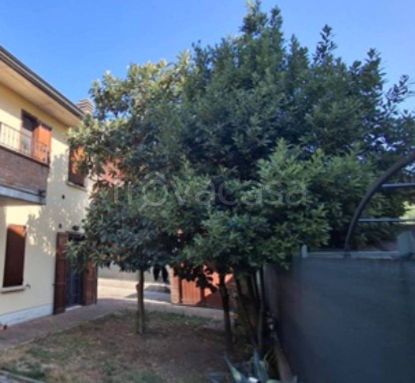 immagine annuncio 7 di 12