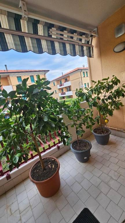 immagine annuncio 4 di 14