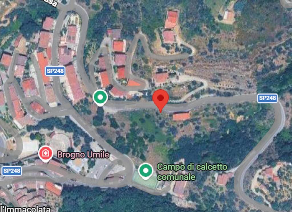 immagine annuncio 6 di 8