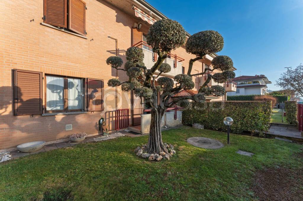 immagine annuncio 1 di 15