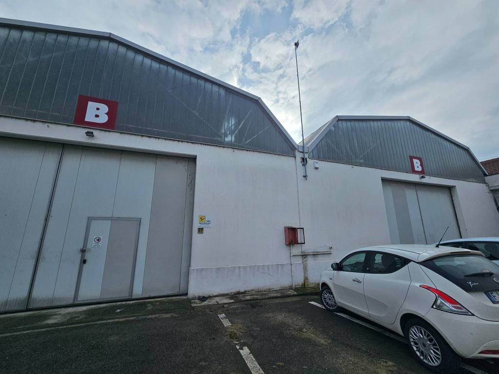 immagine annuncio 3 di 10