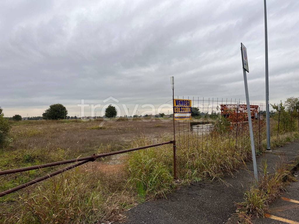 immagine annuncio 9 di 13