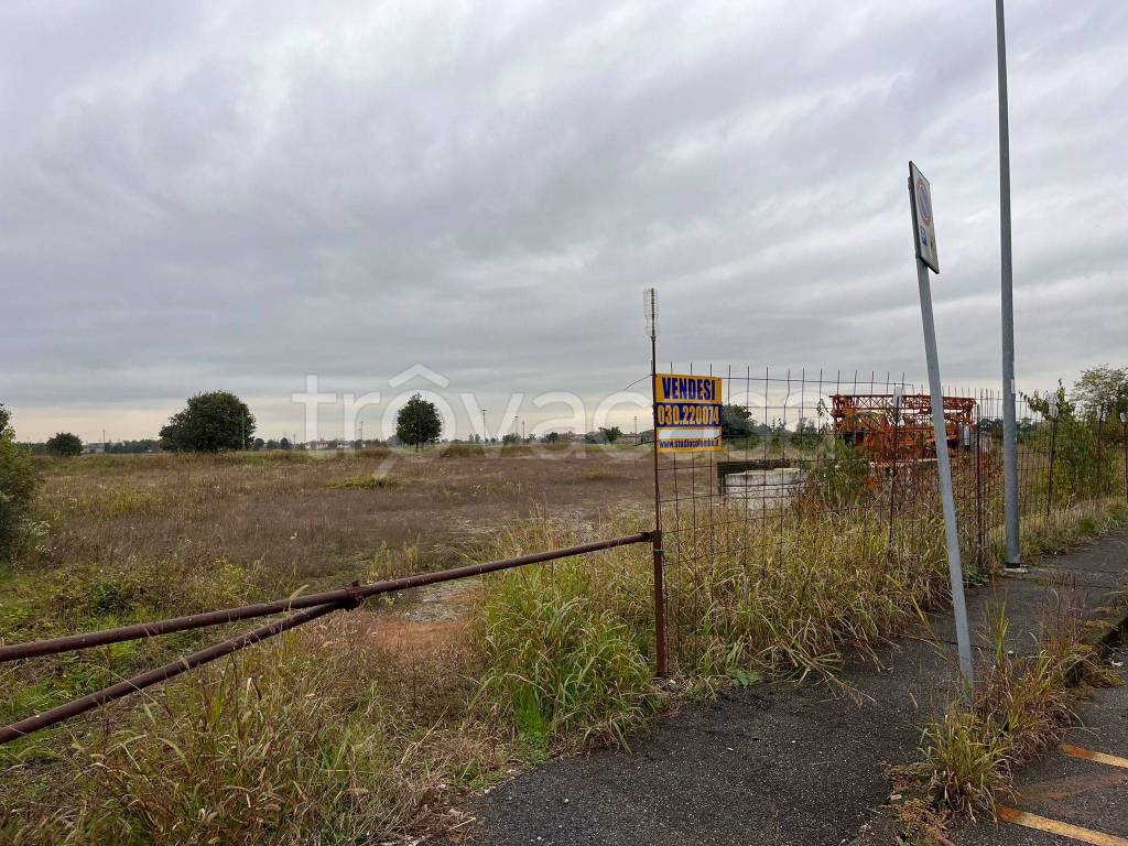 immagine annuncio 10 di 13