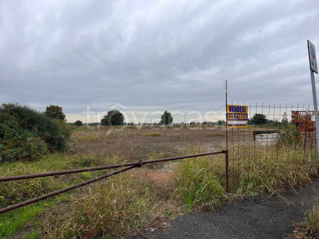 immagine annuncio 12 di 13