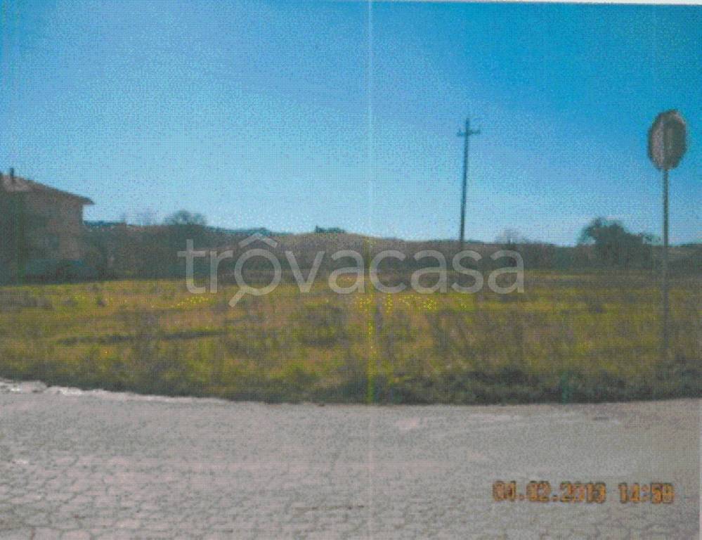 immagine annuncio 8 di 11