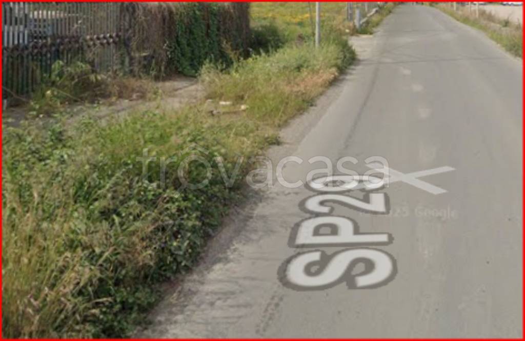 immagine annuncio 2 di 12