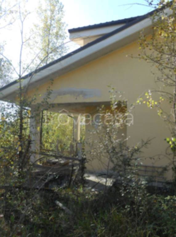 immagine annuncio 4 di 11