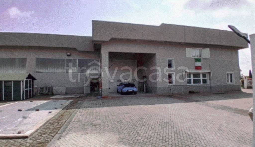 immagine annuncio 11 di 13