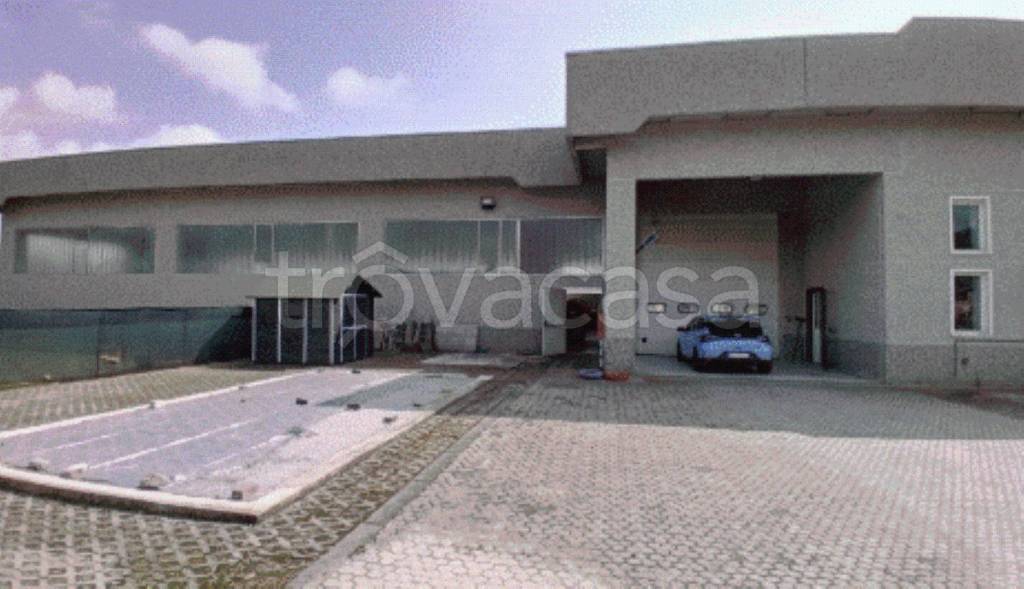 immagine annuncio 12 di 13