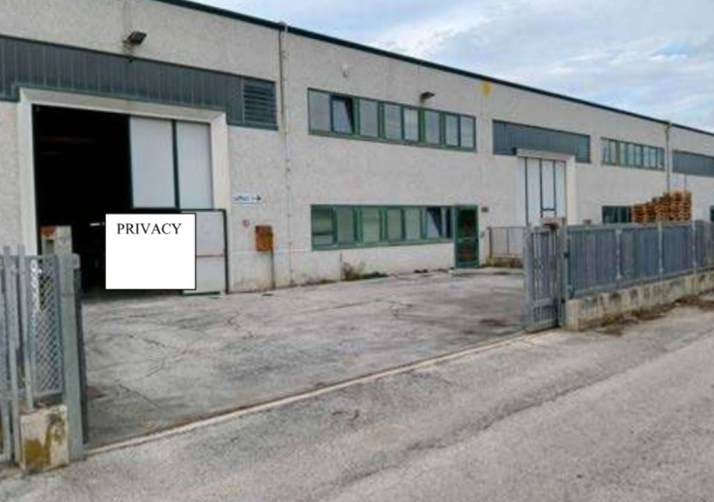 immagine annuncio 1 di 8