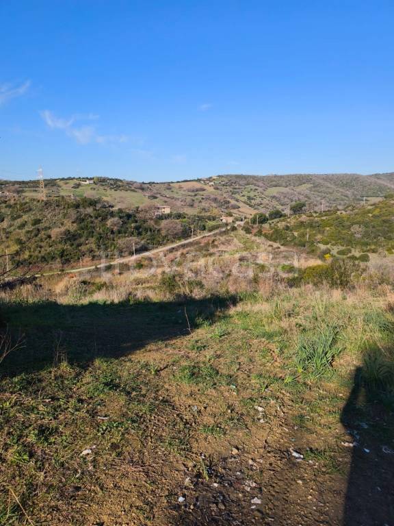 immagine annuncio 8 di 12