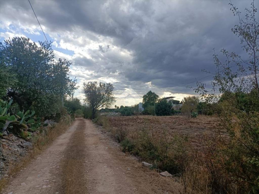 immagine annuncio 3 di 6