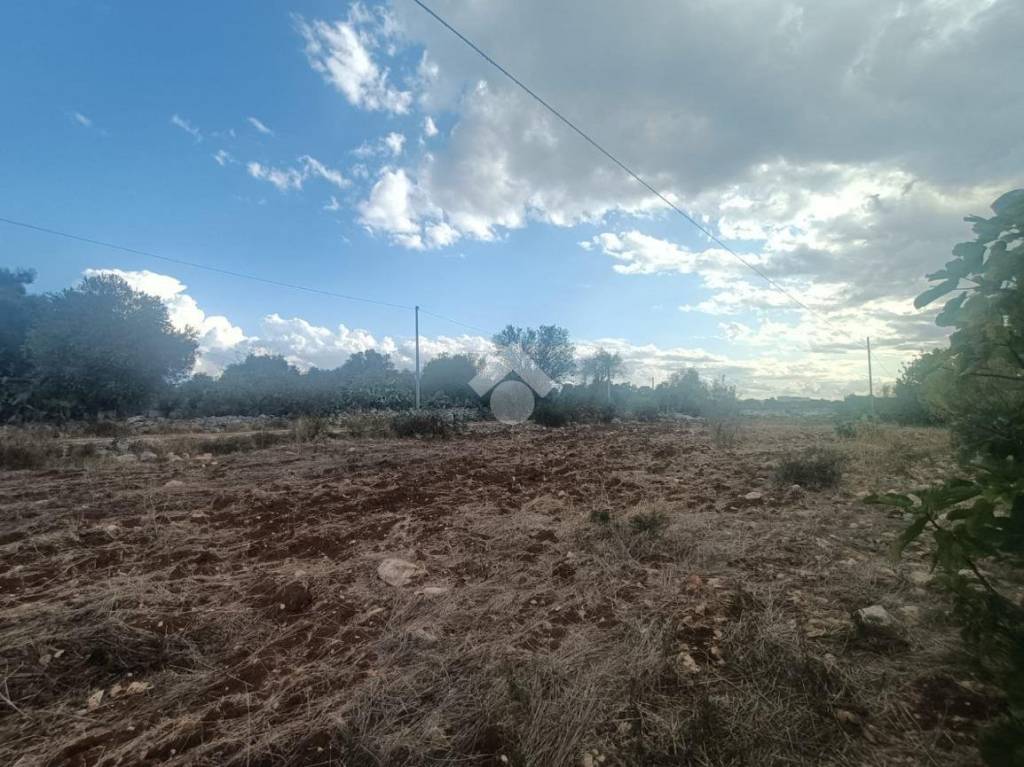 immagine annuncio 4 di 6