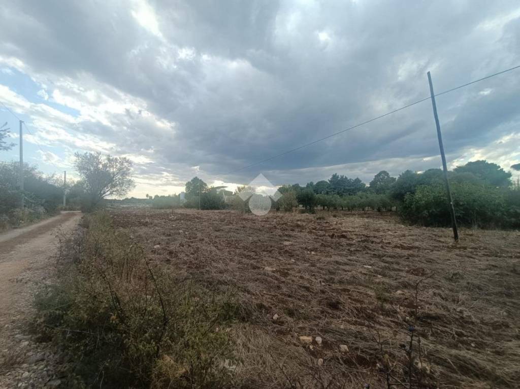 immagine annuncio 5 di 6