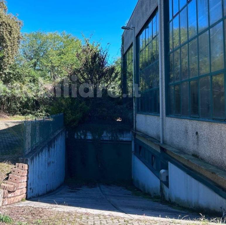 immagine annuncio 3 di 9