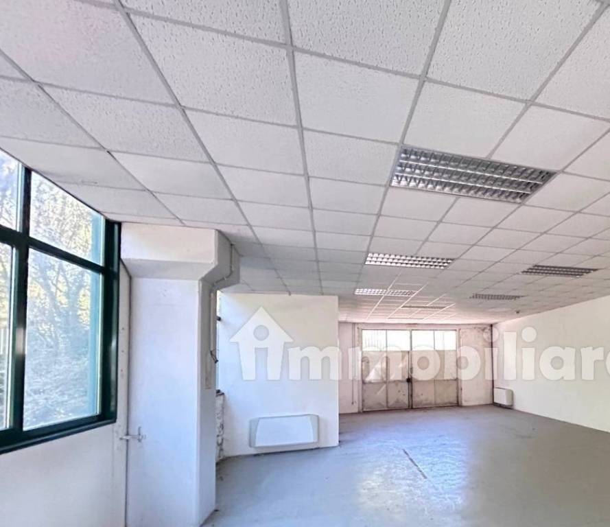 immagine annuncio 4 di 9