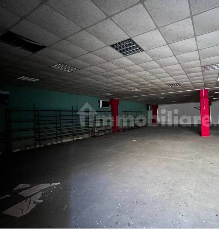 immagine annuncio 5 di 9