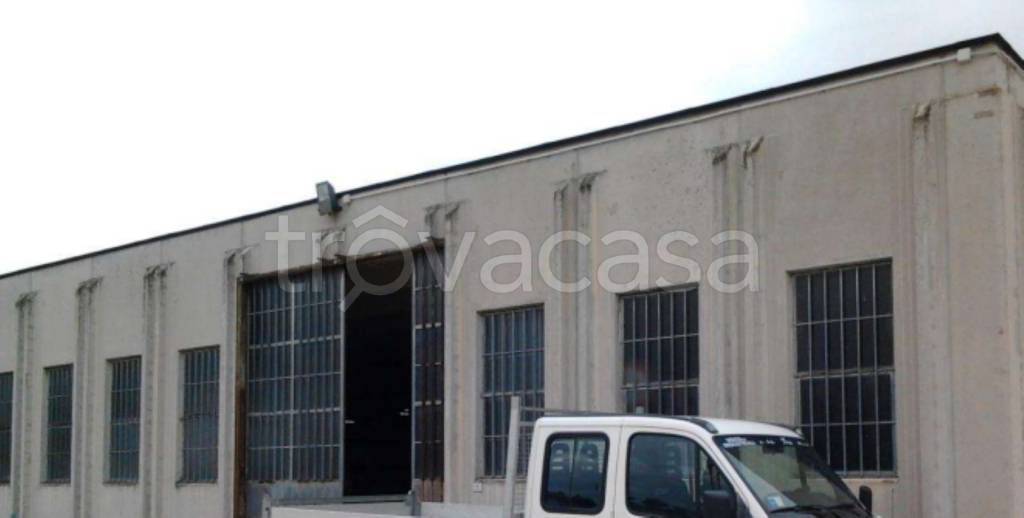 immagine annuncio 1 di 12