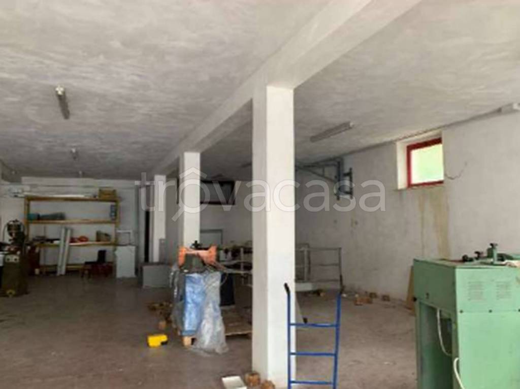 immagine annuncio 4 di 11