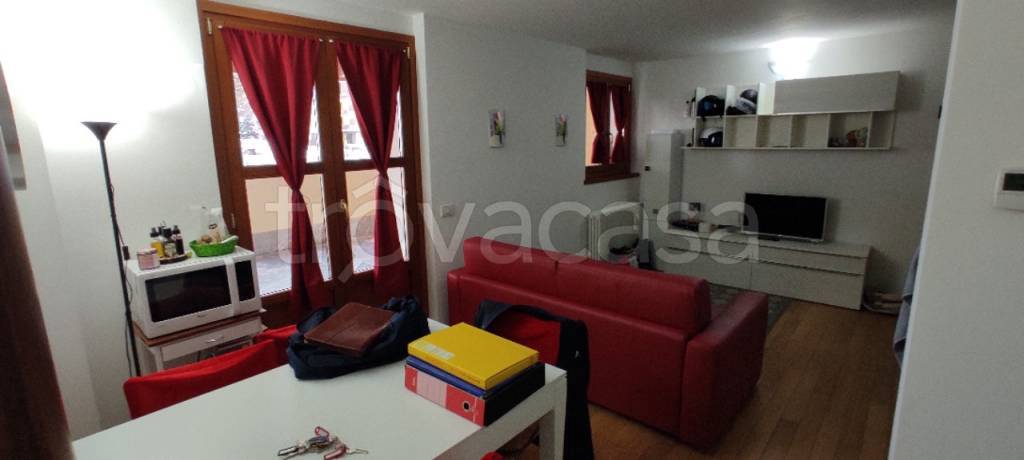 immagine annuncio 1 di 14