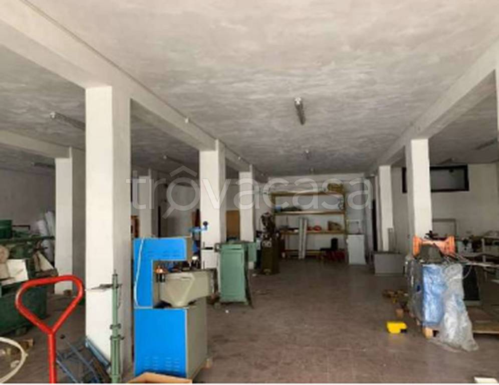 immagine annuncio 5 di 11