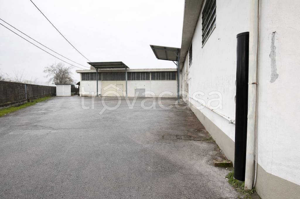 immagine annuncio 6 di 7